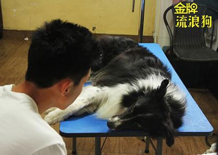 http://www.omega3-ala.com/pics/default/download/dc472821505b8119ac9a2d1d4da1b8e5.jpg
