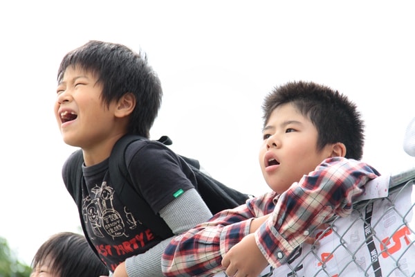 http://www.omega3-ala.com/pics/default/download/dc57c39fb5ff155594f46f4f5be77e04.jpg