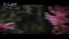 中秋版預(yù)告片