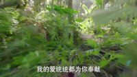 《神犬小七 第二季》萌犬暖心MV《不要忘記我愛你》