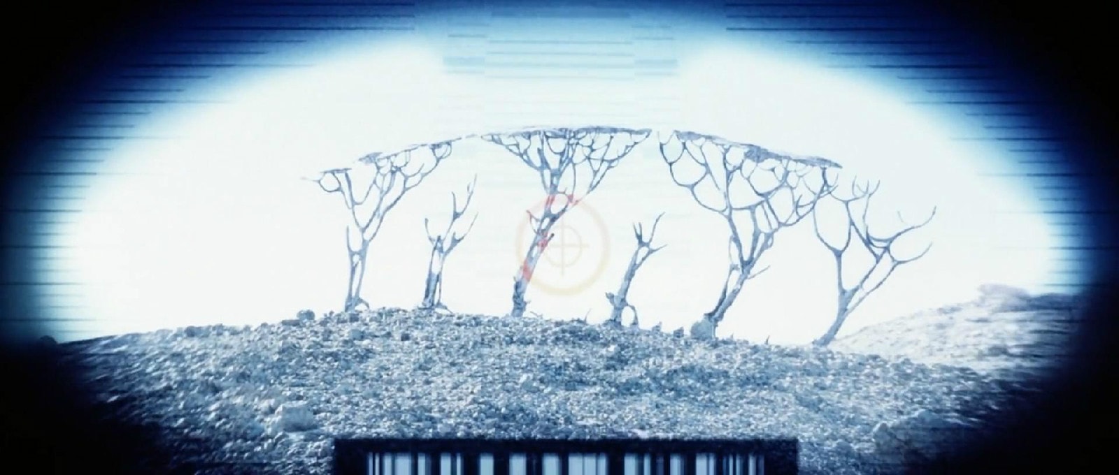 http://www.omega3-ala.com/pics/default/download/de1c8f204bdddc75f90e410f9397653e.jpg