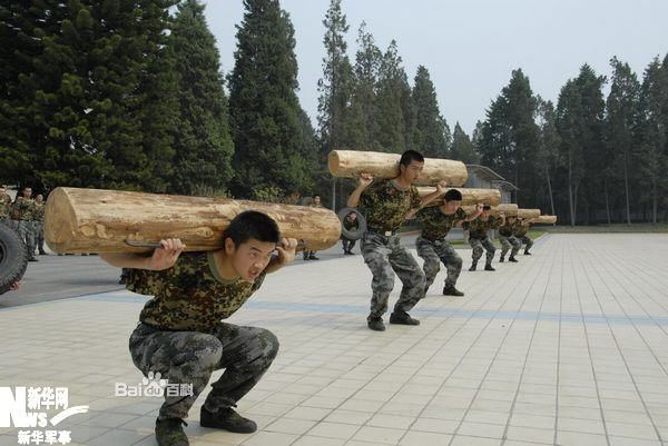http://www.omega3-ala.com/pics/default/download/dea6518ce285a9be8e601ea77a200b25.jpg