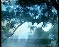 濟公游記