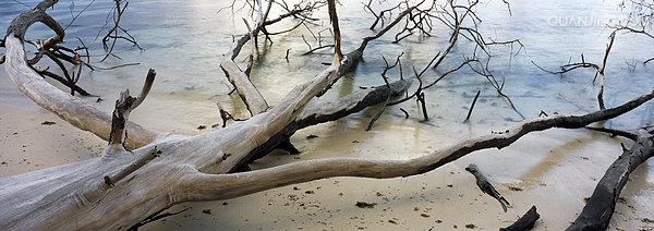http://www.omega3-ala.com/pics/default/download/ded0031dbec52c121f54b16d67002f11.jpg