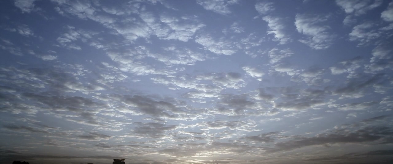 http://www.omega3-ala.com/pics/default/download/df1e706b042d2216fc4d3659d8213357.jpg