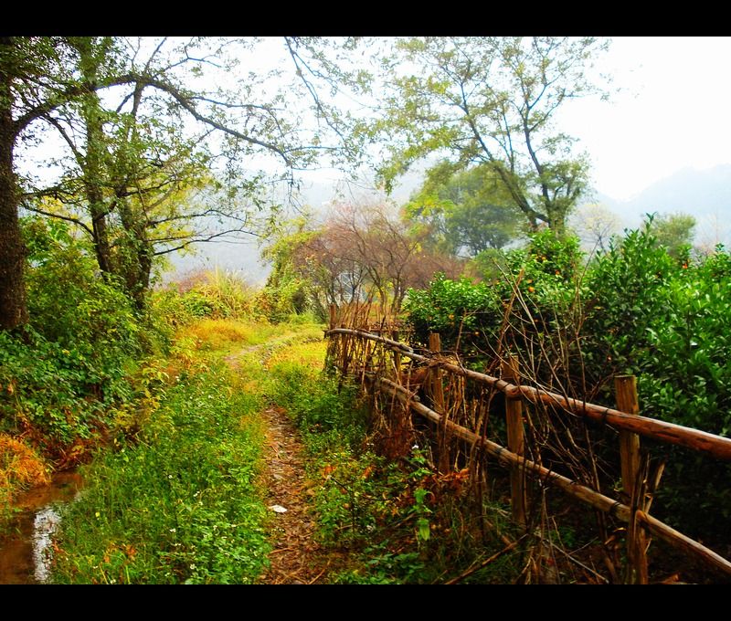 http://www.omega3-ala.com/pics/default/download/df9a0a6c1e203db42bcd5eaabdff9a0a.jpg