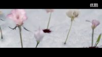 阿蘭-《千古》官方MV花千骨主題曲_標(biāo)清