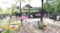 《凰圖騰》宣傳片張翰鄭爽流星雨