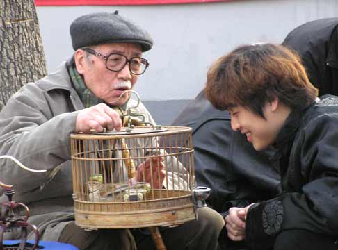 http://www.omega3-ala.com/pics/default/download/dfdacf16dd9e5fd982fc528e3a369e4d.jpg