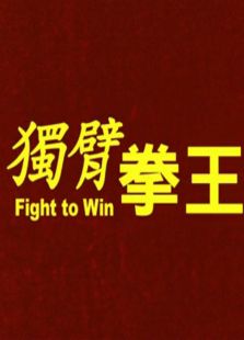 獨臂拳王（2004）