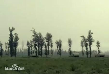 http://www.omega3-ala.com/pics/default/download/e09178799a7446ad0a1a450bf70f8c21.jpg