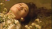 紅杏出墻記