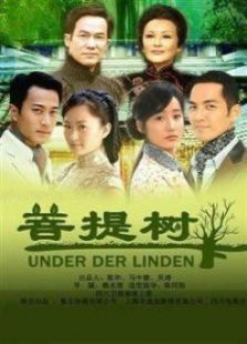 菩提樹下