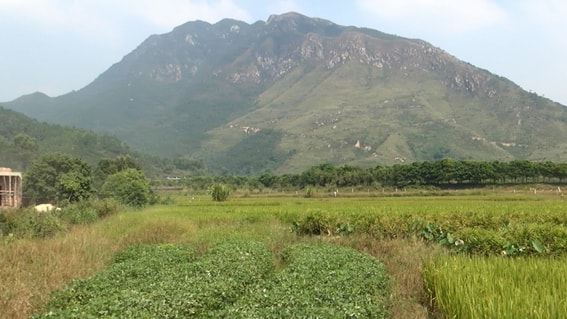 http://www.omega3-ala.com/pics/default/download/e279499ee00048e71c23f8d74dac3889.jpg