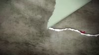 天津衛(wèi)視《小寶和老財(cái)》精彩預(yù)告片