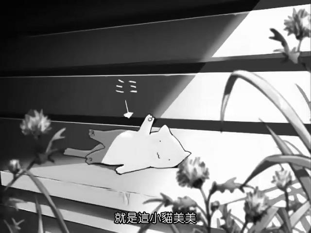 她和她的貓 美美