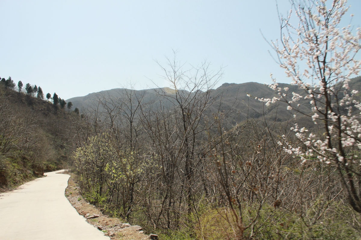 http://www.omega3-ala.com/pics/default/download/e2e0892ab7b73fa91356db6e10d2d0ed.jpg