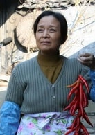 劉莉莉