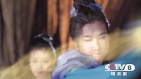 《劉?？抽浴纺猩衽衿?0