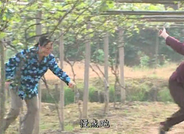 http://www.omega3-ala.com/pics/default/download/e47cbcf7cc2be27c8daa387a7cf4b6d8.jpg