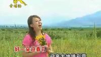 卓依婷--（新年歌曲全集）-賀年歌--【好春天】-【迎春花】  高清_標清_標清