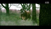烏龍兵團搞笑演諜戰(zhàn)《老爸上戰(zhàn)場》首款預告