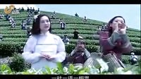 《下輩子還嫁給你》綿綿茶語 一葉一語一相思