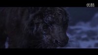 獵人與老虎同歸于盡