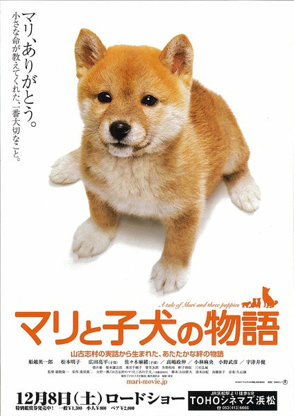 http://www.omega3-ala.com/pics/default/download/e627703a769baa535435e7d7a7c0aa20.jpg