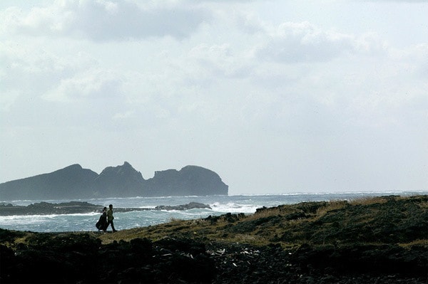 http://www.omega3-ala.com/pics/default/download/e628f06ebb1f79eee39f11b31494a04b.jpg