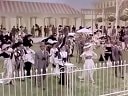 My Fair Lady-窈窕淑女-精采片段賽馬