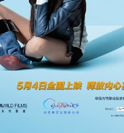 龔蓓苾