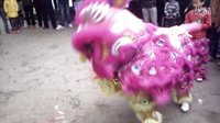 雷州市楊家鎮店前村醒獅隊