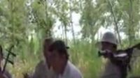 楊唱龍鳳呈祥