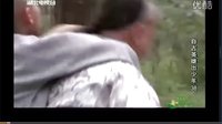 自古英雄出少年釋小龍 釋小龍自古英雄出少年 1-38集全集
