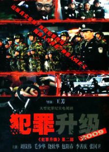 犯罪升級 第二部