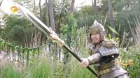 武林絕技再現(xiàn)江湖！子龍單挑文丑上演“暴雨梨花槍”