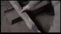 喬省長和他的女兒們-33