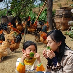 http://www.omega3-ala.com/pics/default/download/e9c4edab99621160a165a9ee8d6e7f26.jpg