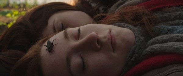 http://www.omega3-ala.com/pics/default/download/ea31404107adcce990e0c84139a1110b.jpg