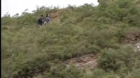 小酸棗（影視）郭公芳 電視劇《白玉霜》   04：16