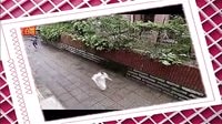 電視劇《不一樣的美男子》浪漫大結(jié)局