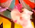 電視劇《鳳在江湖》（曹穎 戴嬌倩 趙鴻飛）片段