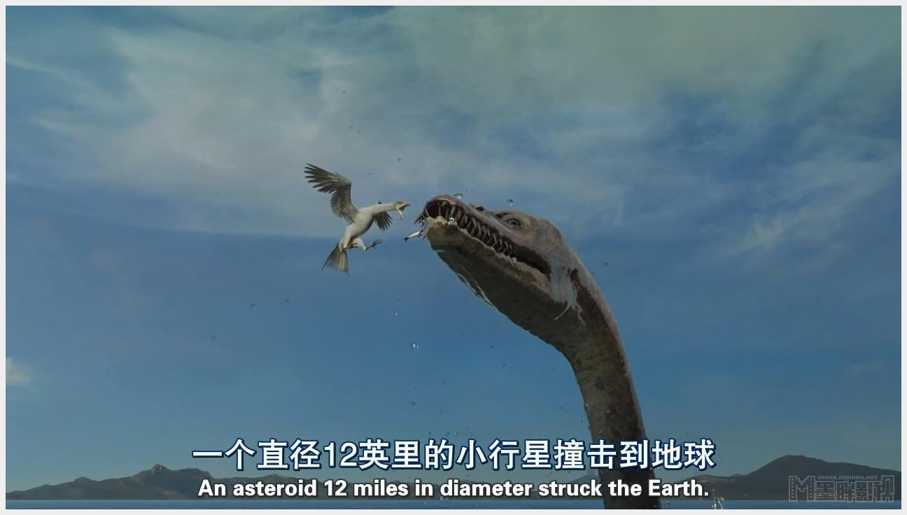 http://www.omega3-ala.com/pics/default/download/ebdd3aff2565ceb9f664bdaf41407bf0.jpg
