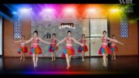 1602、天姿廣場舞2015年14期《一米陽光》正反面演示_1