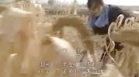 喜耕田的故事 第一部 《喜耕田的故事》片頭曲