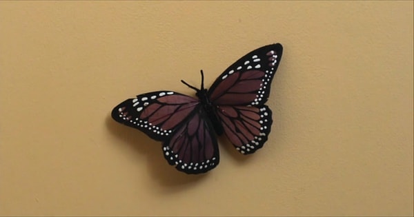 http://www.omega3-ala.com/pics/default/download/ec997e56a5cf6506eedab5beb66ab184.jpg