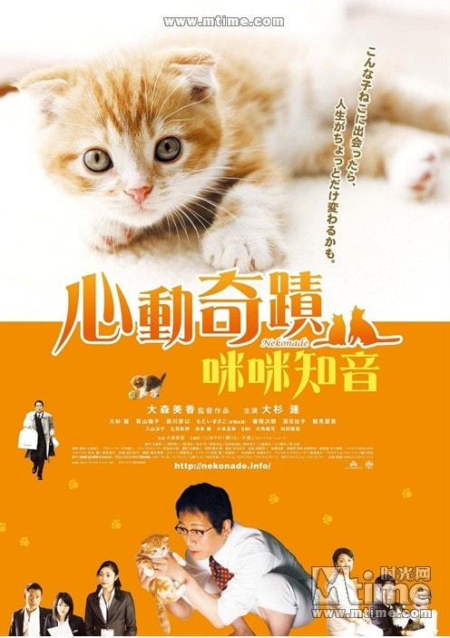 小貓奇緣 海報照