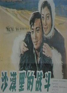沙漠里的戰斗