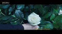 《饑餓游戲3:嘲笑鳥(下)》“Spectacle”電視宣傳片